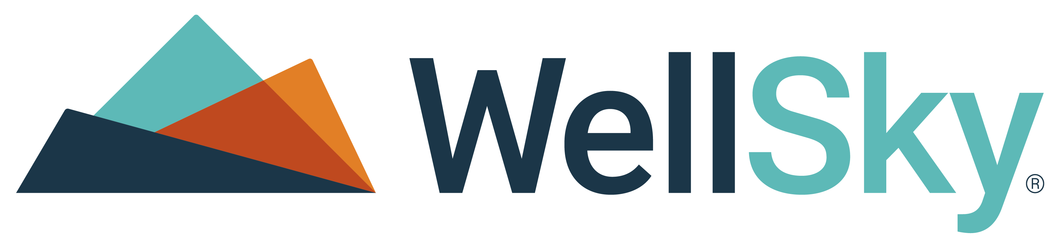 WellSky®